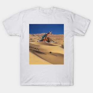 Oasis T-Shirt